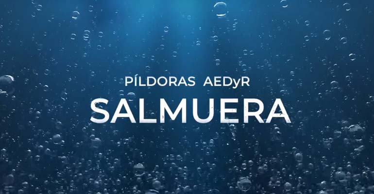 aedyr-pildora-informativa-salmuera