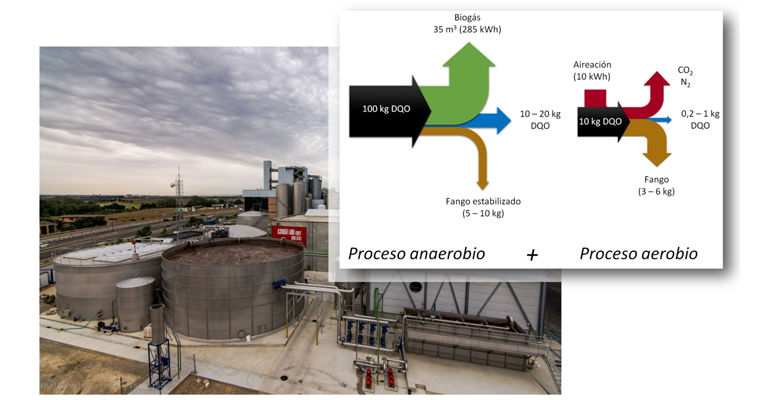 aema-sistemas-anearobios-alternativa-sostenible-depuracion