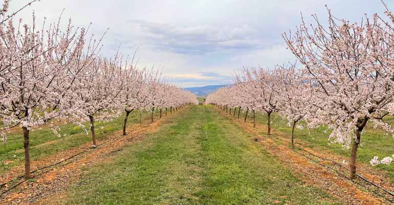 agbar-agriculture-soluciones-integrales-hecus-agricultura