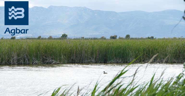 Humedales del Delta del Ebro