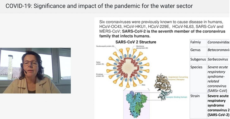 agua-coronavirus-significado-impacto-covid-agua-seminario-watershare