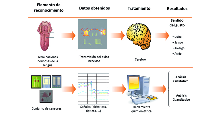 articulo-tecnico-analisis-organoleptico-agua-consumo-humano-microsensores