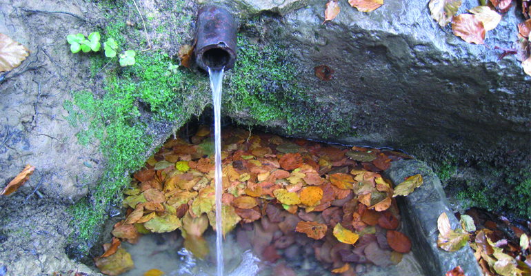 articulo-tecnico-analisis-parametros-fisicoquimicos-aguas-fuentes-naturales-montseny