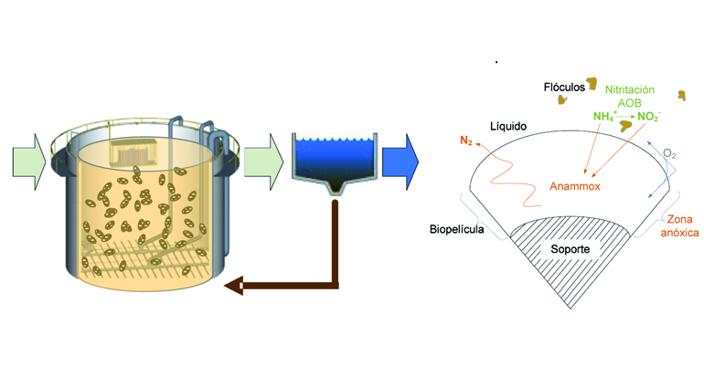 articulo-tecnico-procesos-avanzados-eliminacion-nitrogeno-veolia