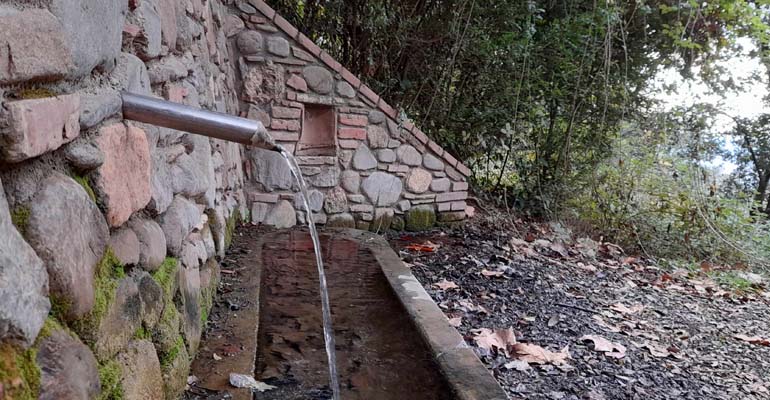 articulo-tecnico-proyecto-fonts-montseny-calidad-mineral-fuentes