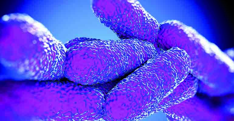 articulo-tecnico-sistema-deteccion-cuantificacion-legionella-aguas