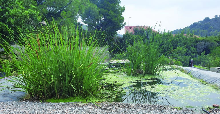 Valle Residencial Los Monasterios, un ejemplo de gestión integral con soluciones basadas en la naturaleza