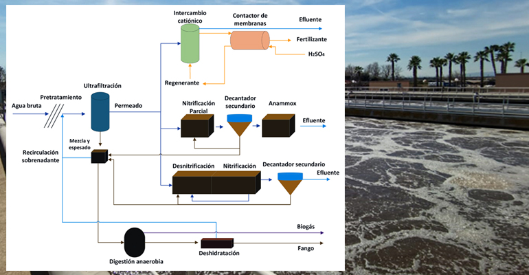 calagua-tesis-nitrificacion-proceso-depuracion