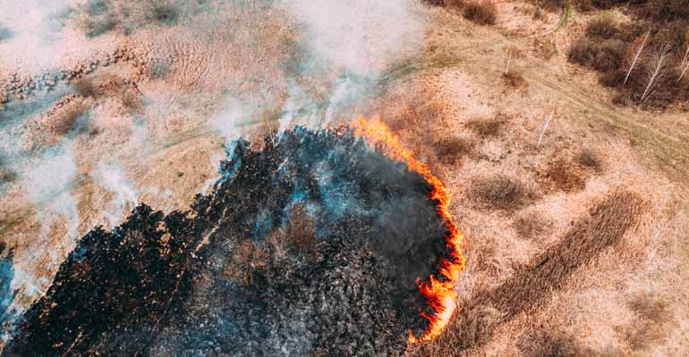 Canal de Isabel II bonificará el recibo del agua a los contratos afectados por incendios forestales