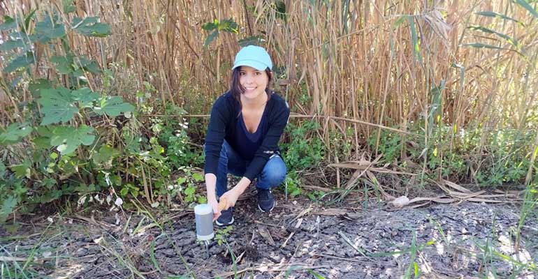Un estudio de la Cátedra Aguas de Valencia demuestra la alta capacidad de los humedales artificiales para retener y degradar microplásticos