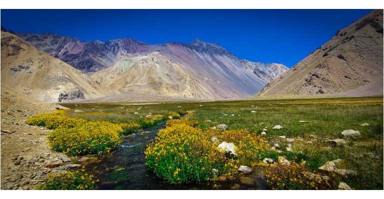 Conservar el agua y la biodiversidad, objetivo del acuerdo entre Cetaqua y TNC en Chile