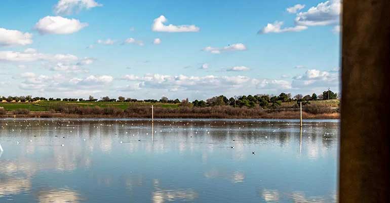 La CHG aprueba los regímenes de extracciones para 2026 de las nueve masas de agua subterránea en riesgo