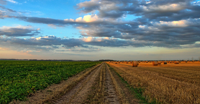 dam-estacion-depuradora-aguas-residuales-agricultura-estruvita-proyecto-phertilizer