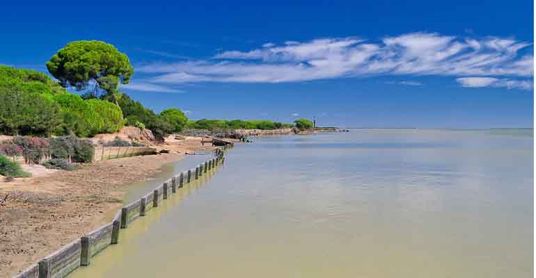 Río Guadalquivir en el Parque de Doñana