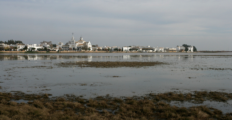 emasesa-confederacion-hidrografica-guadalquivir-aguas-residuales-donyana