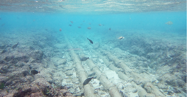 enac-pielago-ingenieria-medioambiente-acreditado-inspeccionar-emisarios-submarinos