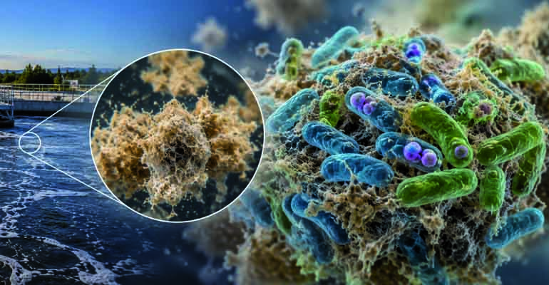 articulo-tecnico-pao-gao-ebpr-dinamica-microbiana-metabarcoding