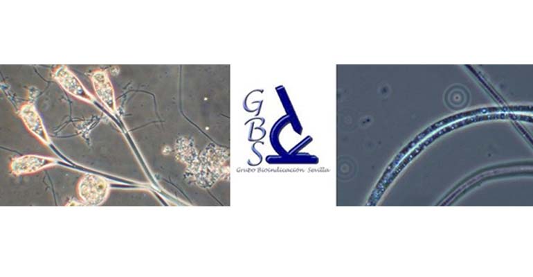 gbs-formacion-especializados-aguas-residuales
