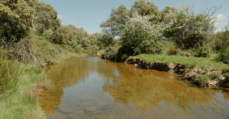nestle-fomenta-regeneracion-agua