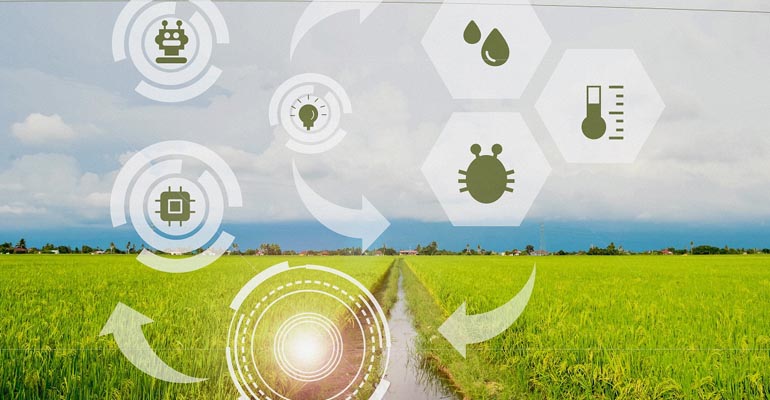reportaje-tecnologias-modernizacion-regadio-xylem-idrica