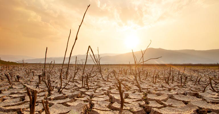 salher-bancarrota-hidrica-ingenieria-agua