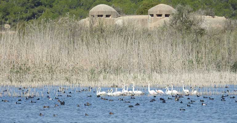 veolia-proyecto-iris-digitalizacion-gestion-infraestructuras-verdes