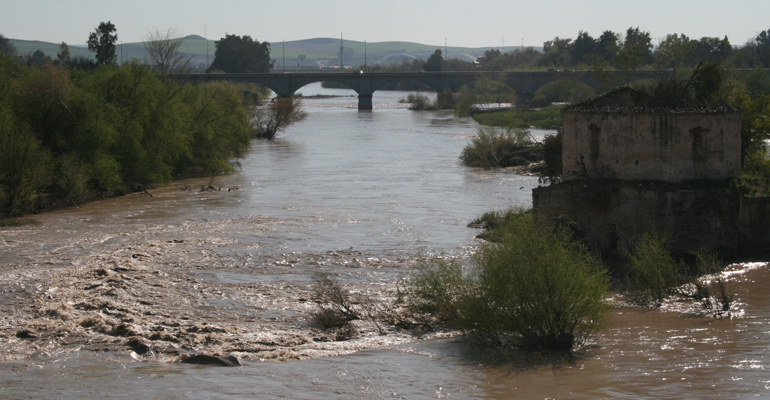 fnca-guia-gobernanza-agua-participacion-publica-planificacion-hidrologica