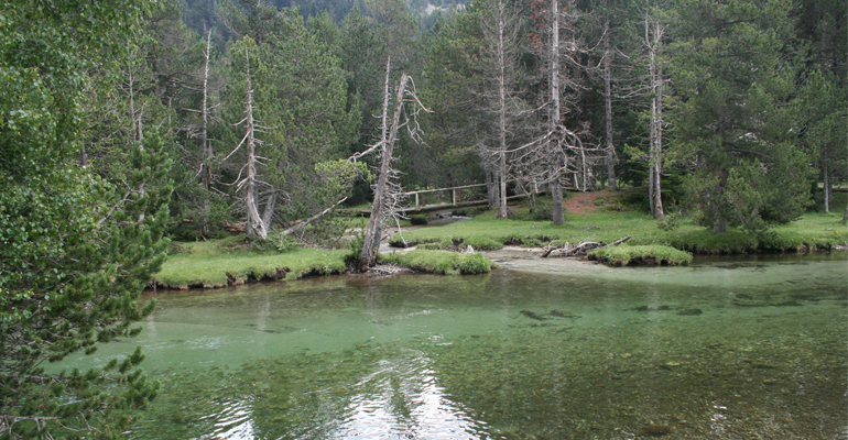 magrama-reservas-naturales-fluviales