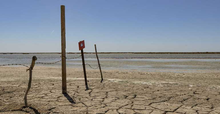 foro-economia-agua-dia-desertificacion-sequia