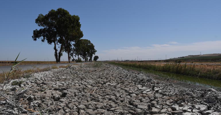 foro-economia-agua-planificacion-hidrologica-desertificacion