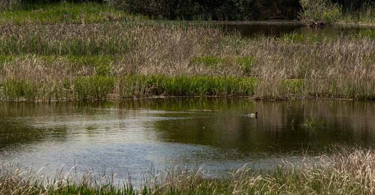 foro-economia-agua-soluciones-sequia