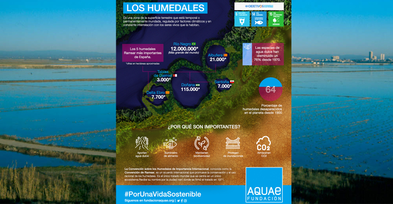 fundacion-aquae-humedales