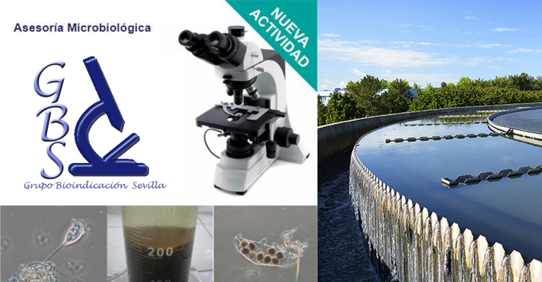 gbs-asesoria-microbiologia-depuradoras-agua