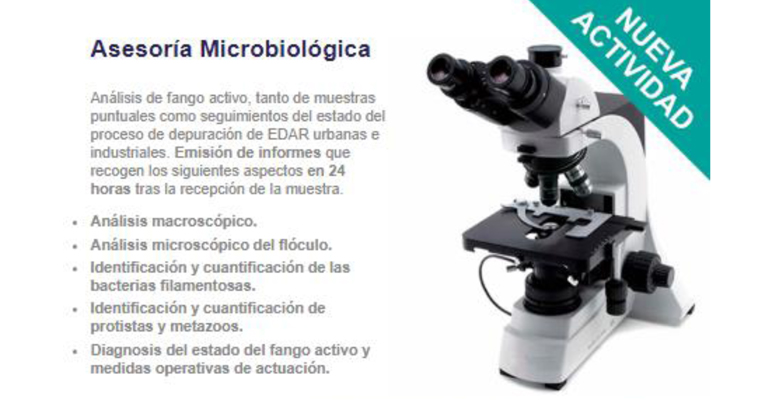 gbs-asesoria-microbiologia
