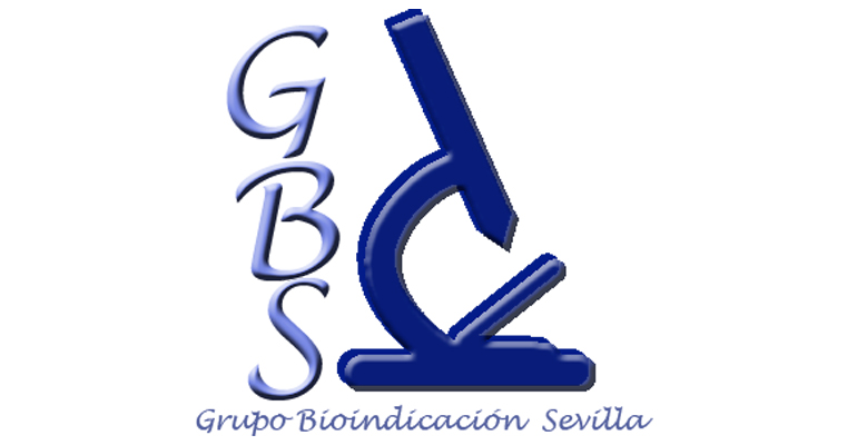 gbs-cursos-logo-noviembre.jpg