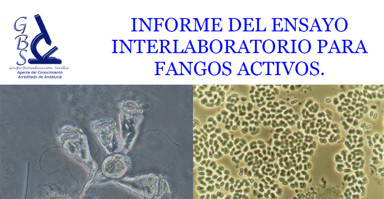 gbs-ejercicios-interlaboratorios-microbiologia-fango-activo-aguas-depuradas