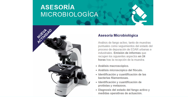 gbs-servicio-asesoria-microbiologica-fango-activo