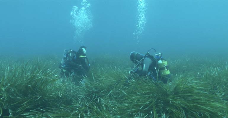Global Omnium refuerza la protección del mar