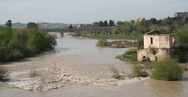 guadalquivir-cordoba