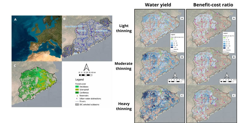 icra-estudio-agua-azul-bosques