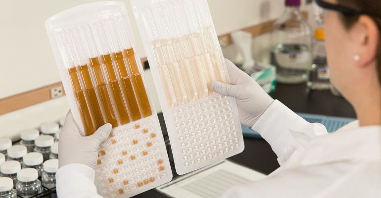 idexx-validacion-certificacion-prueba-legionella-pneumophila