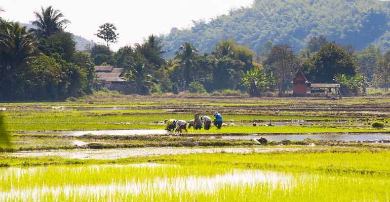 idrica-retos-gestion-agua-sudeste-asiatico