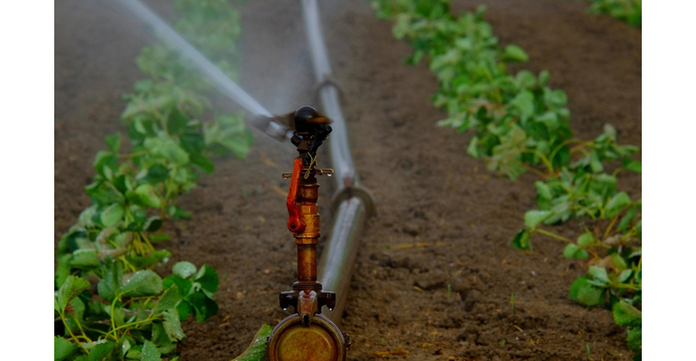 iiama-alerta-presencia-patogenos-emergentes-agua-reutilizada-riego