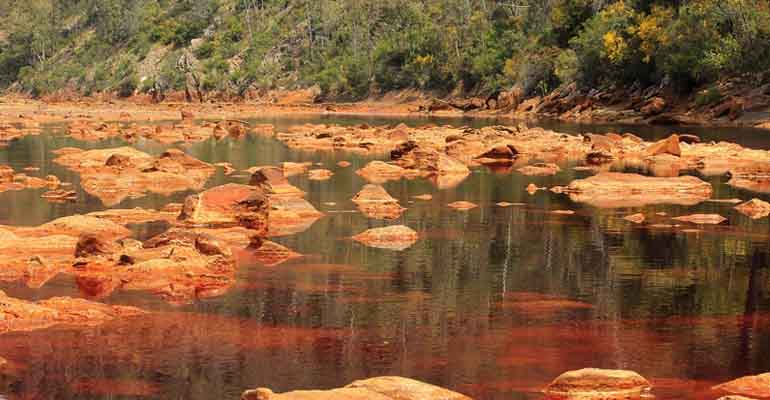 iiama-estudio-metales-ecosistemas-agua