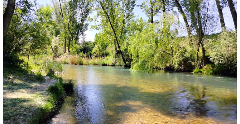 iiama-investigacion-pesticidas-demarcacion-jucar