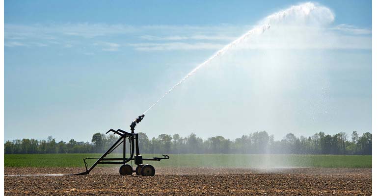 Campo de riego del proyecto de gobernanza de agua y energía del IIAMA