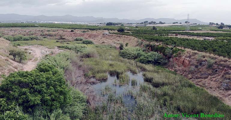 iiama-proyecto-renaturalizar-barranco-carraixet-humedales-artificiales