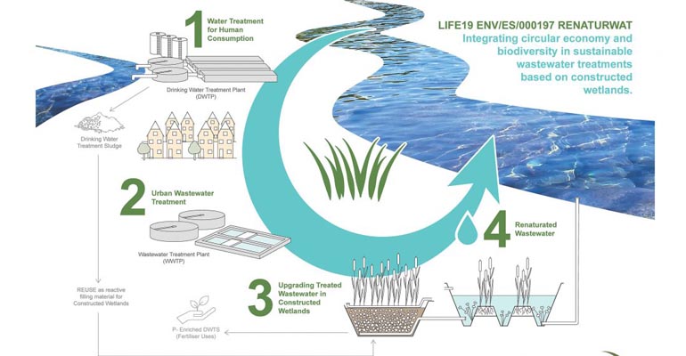 Proyecto Life Renaturwat: cómo mejorar la calidad ambiental de las aguas residuales mediante humedales artificiales y lodos deshidratados