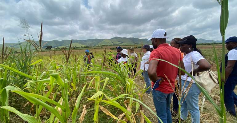 Incatema impulsa el regadío en Angola con la entrega de 80 diseños técnicos para pequeños productores