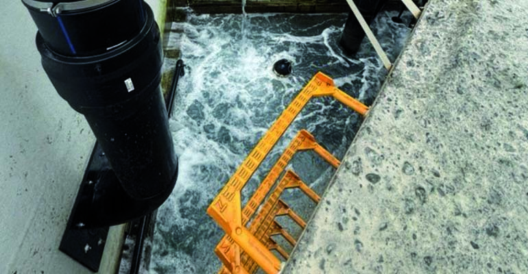Iverna: Peldaño de seguridad para uso en acuicultura